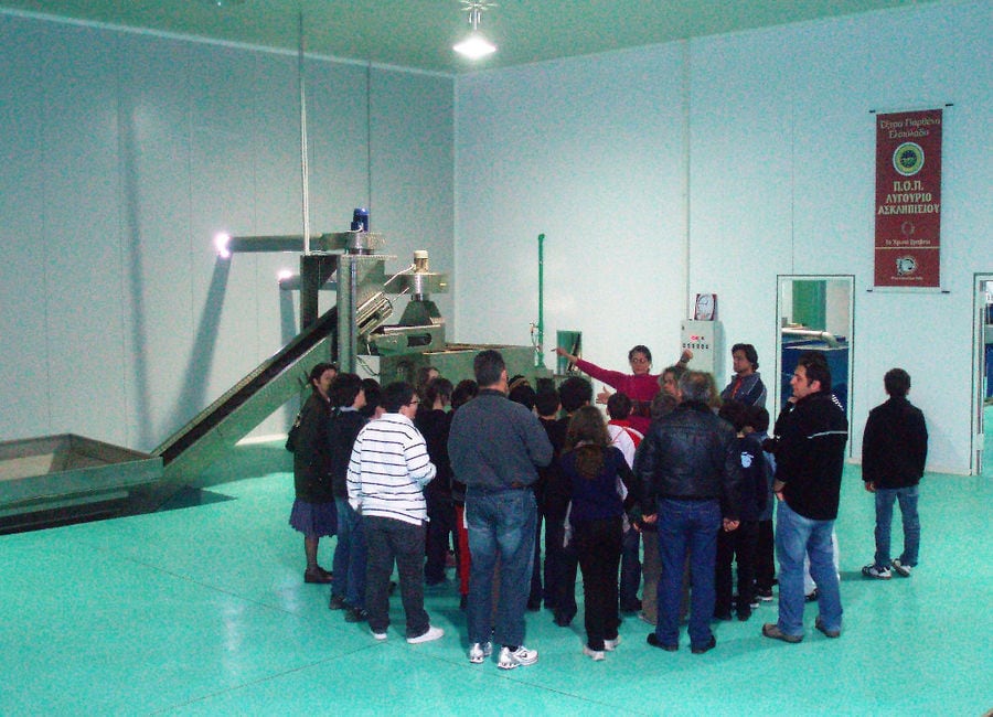 a group of young tourists listening to a guide at Melas Epidauros olive oil plant