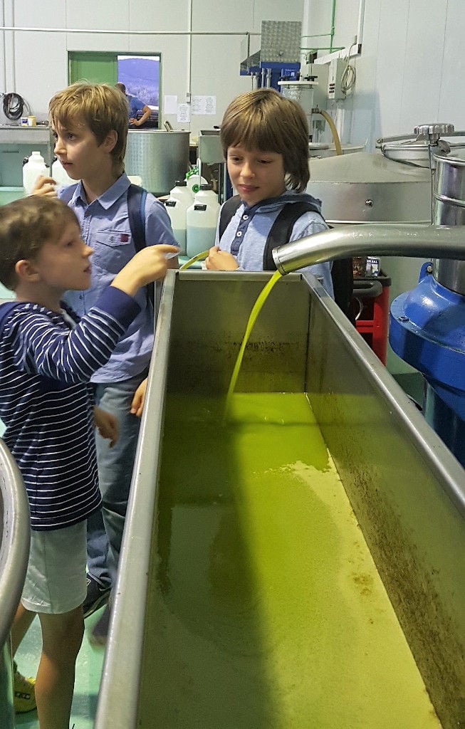 children watching olive oil flowed from olive oil press machine at Melas Epidauros plant