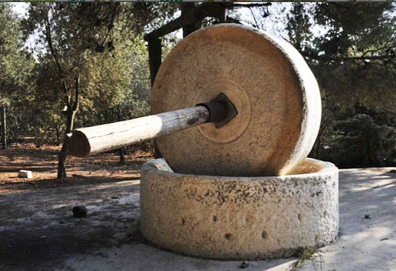 stone old olive press outside at Melas Epidauros with olive trees in the background