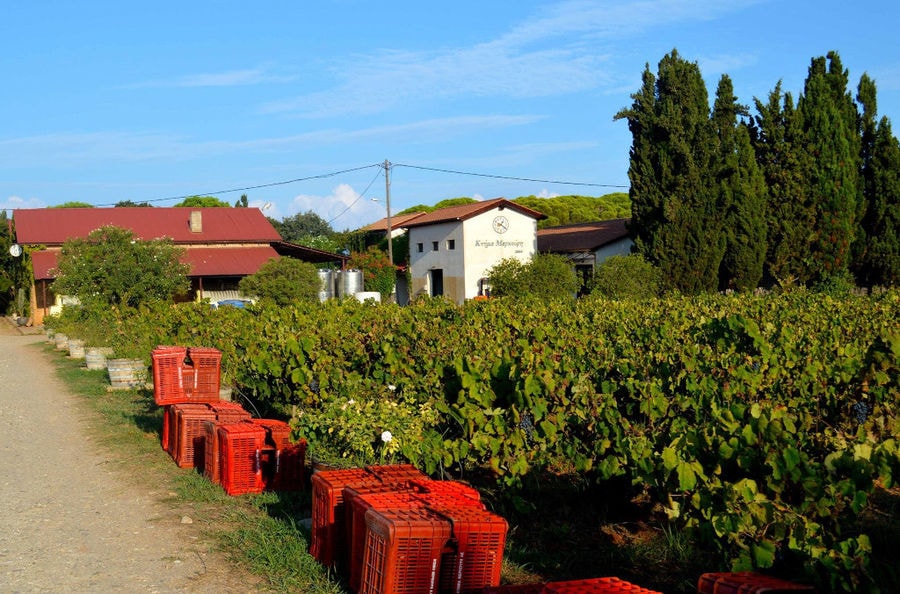 crates on the road from on side of the 'Mercouri Estate' vineyards