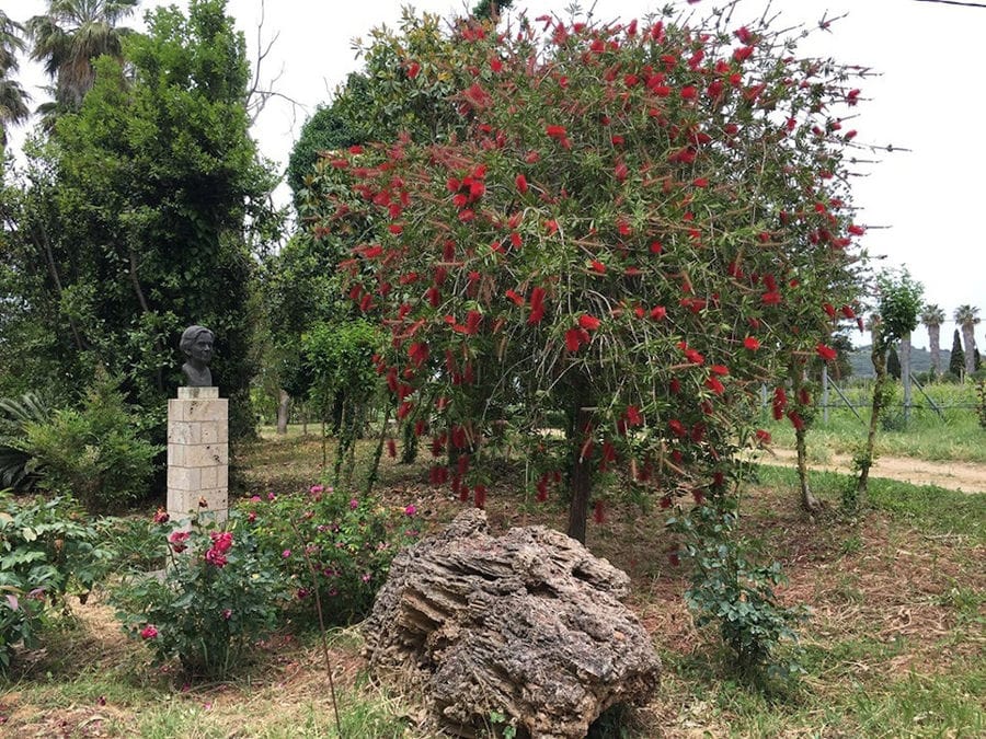 plaster woman bust at 'Mercouri Estate' garden