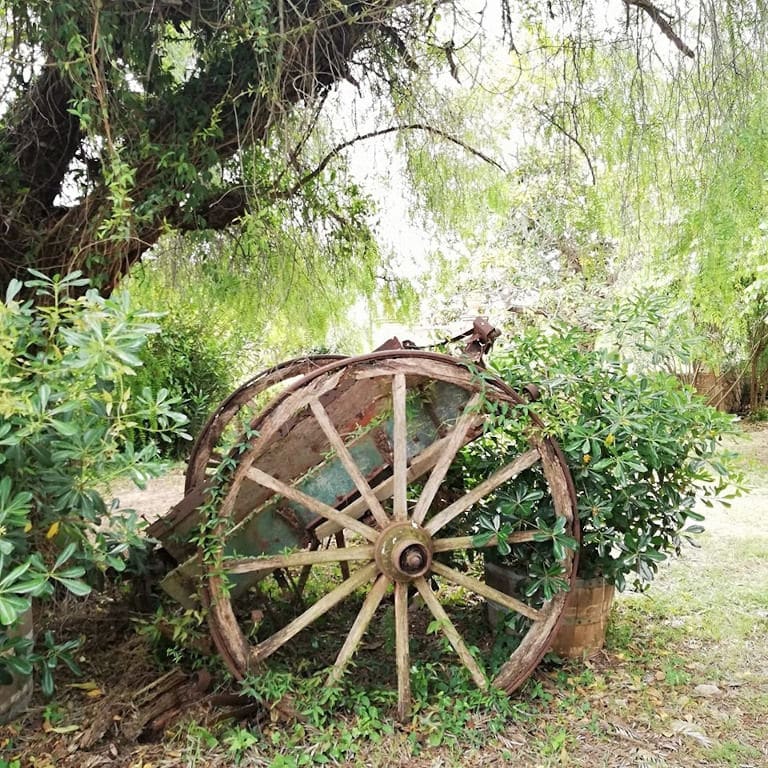 old horse cart into 'Mercouri Estate' garden