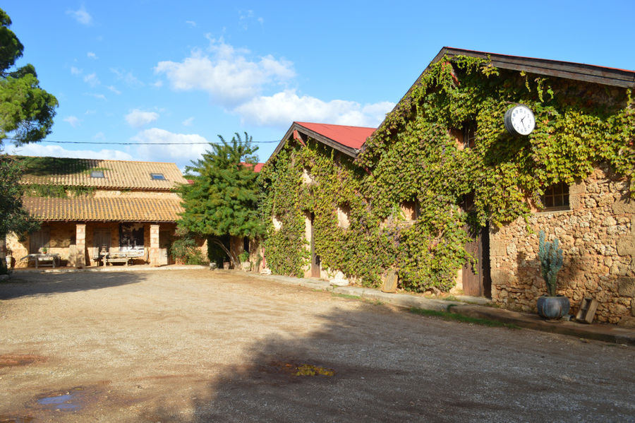 mercouri estate 3.jpg