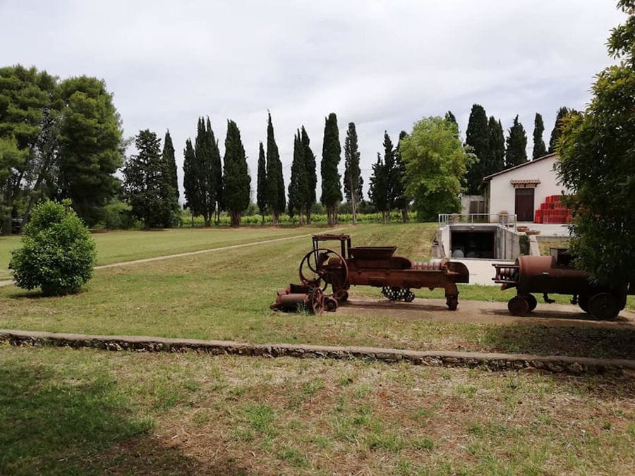 two old horse carts with wood barrels on the ground in the green lawn of 'Mercouri Estate' garden