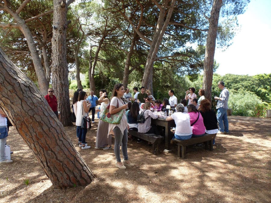 tourists sitting in the shade of the trees at 'Mercouri Estate' winery