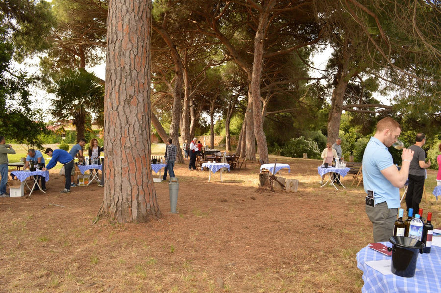 tourists sitting in the shade of the trees at 'Mercouri Estate' winery and tasting wines