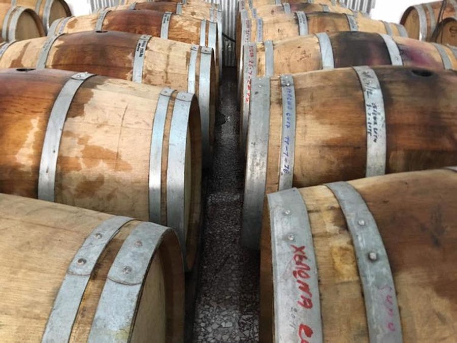 close-up of two rows of wine wood barrels at Minos - Miliarakis Winery