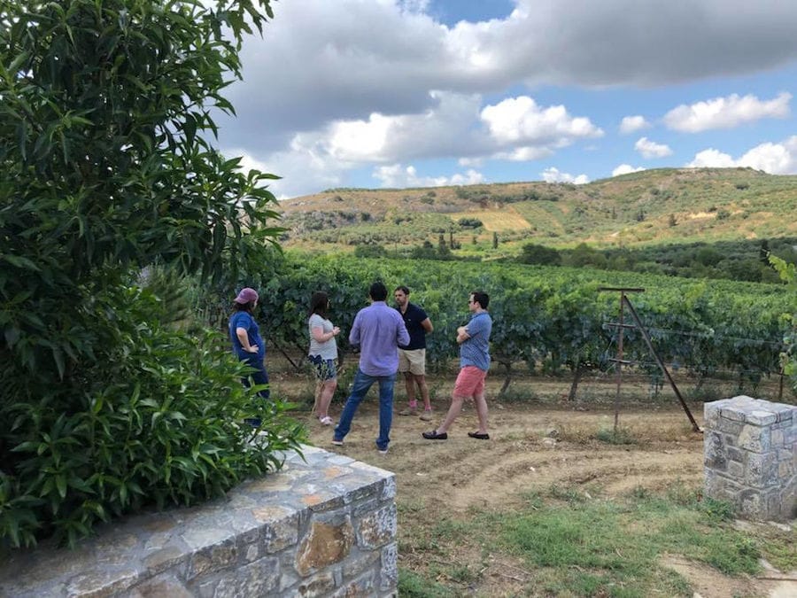 tourists listening to a guide at Minos - Miliarakis Winery outside with vineyards in the background