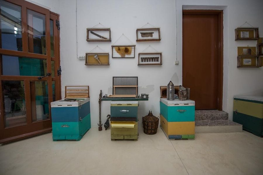 museum room with bee hives and honeycomb panels on the wall at Kokkiadis honey farm
