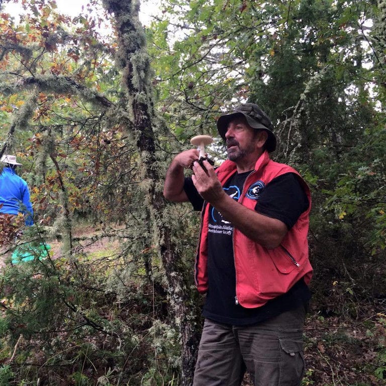 a man holding a mushroom in the forest around Mushrooms Products of Grevena