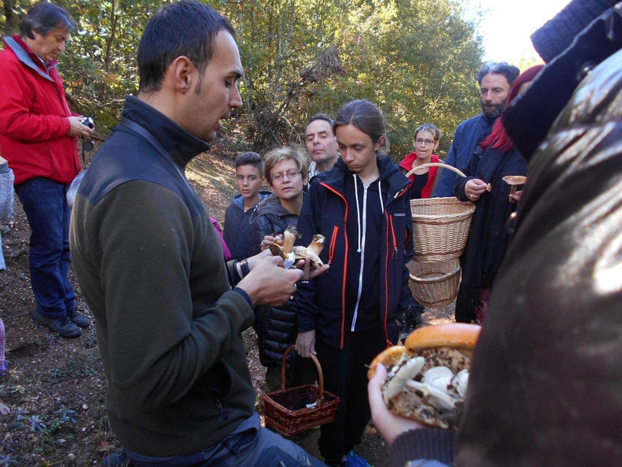 a man holding mushrooms and others tourists watching him in the forest around Mushrooms Products of Grevena