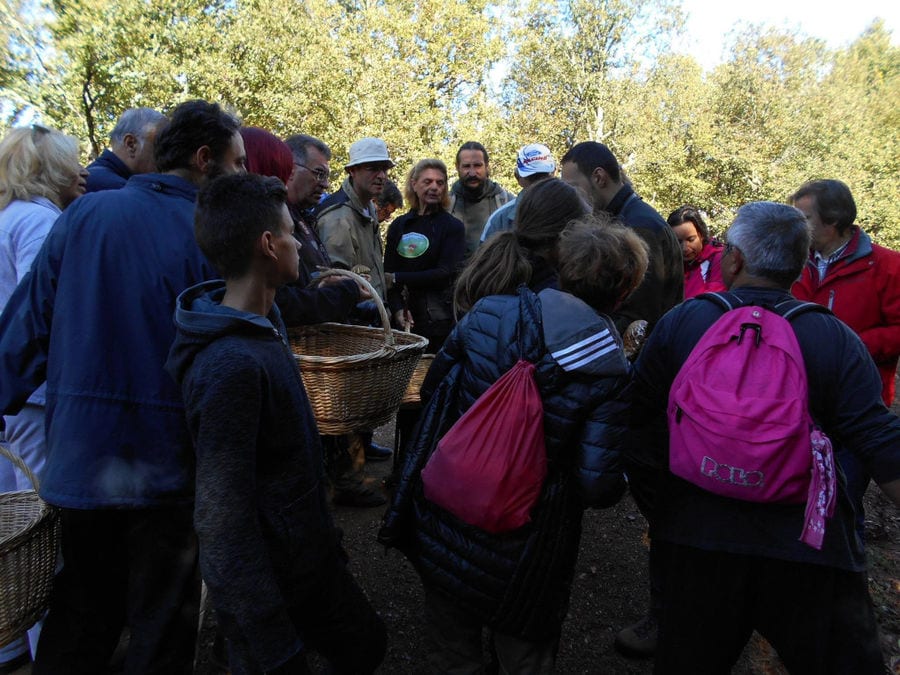 a group of tourists listening to a guide to harvest mushrooms in the forest around Mushrooms Products of Grevena