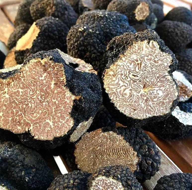 close-up of cutting truffles at Mushrooms Products of Grevena
