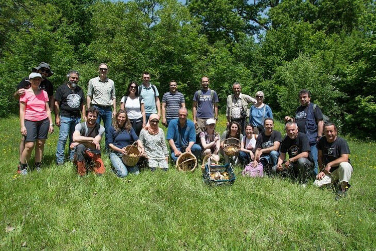 a group of tourists smiling happily at the camera on the green grass and holding basckets with mushrooms around Products of Grevena