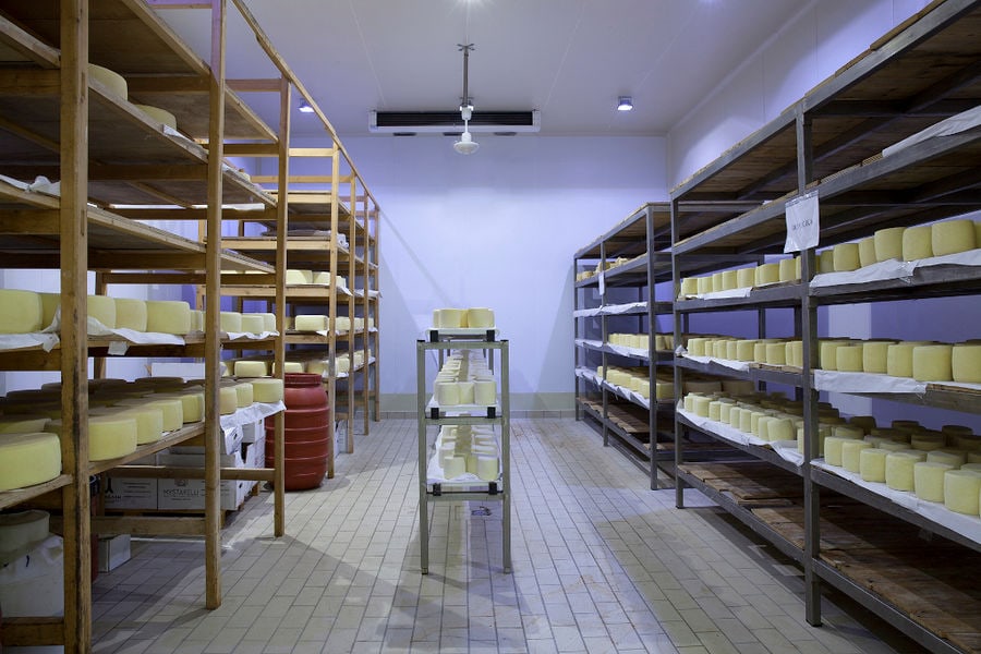 corridor and on the both sides lying 'graviera' cheeses balls on shelves at 'Mystakelli Dairy' plant