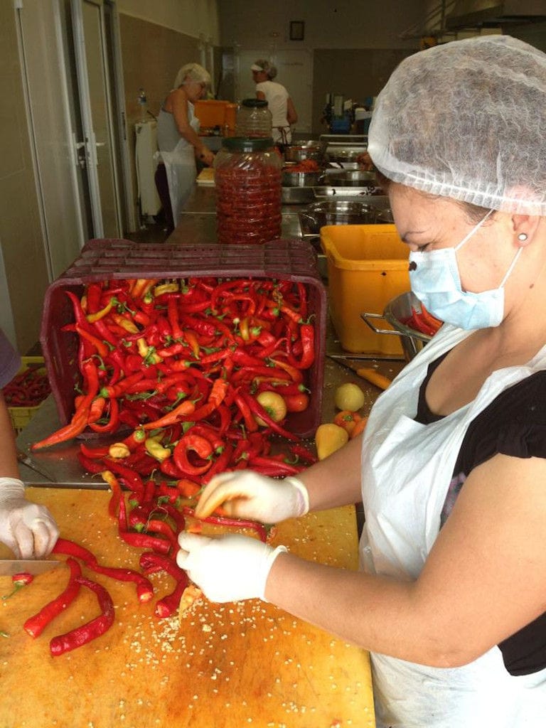 woman with disposable gloves removing red peppers' stubs at 'Naoumidis All Peppers' plant