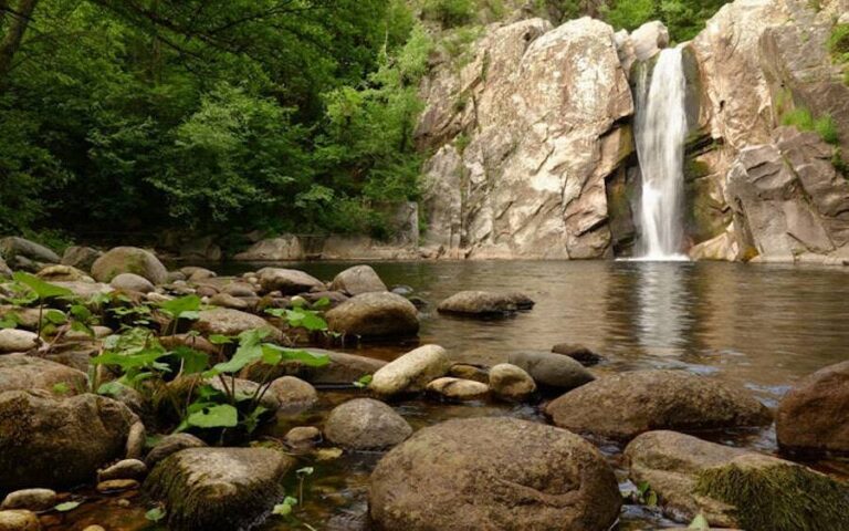 Nestos River with rocks and green plants on the both sides|