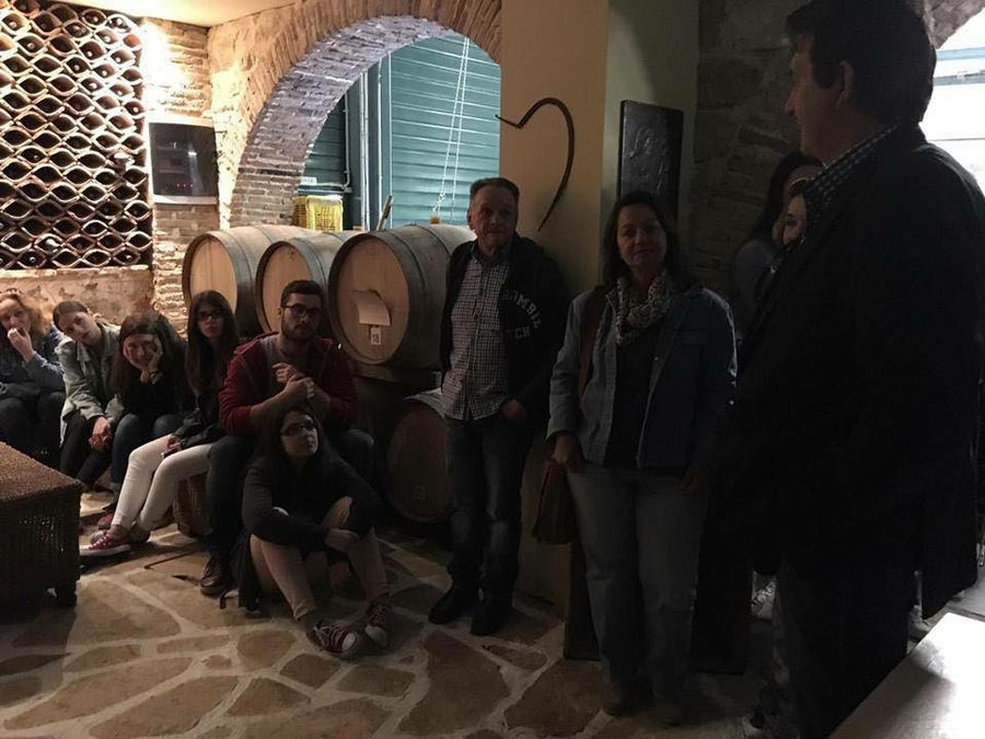 guide presenting tourists the Nikolou Winery stone cellar with wine wood barrels on top of each other