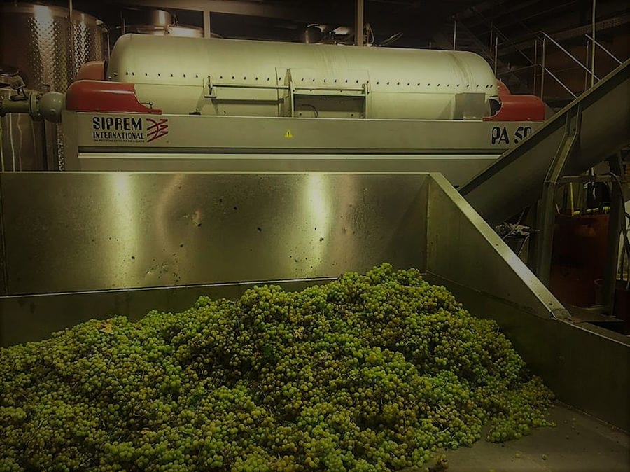 grape press machine at Nikolou Winery plant