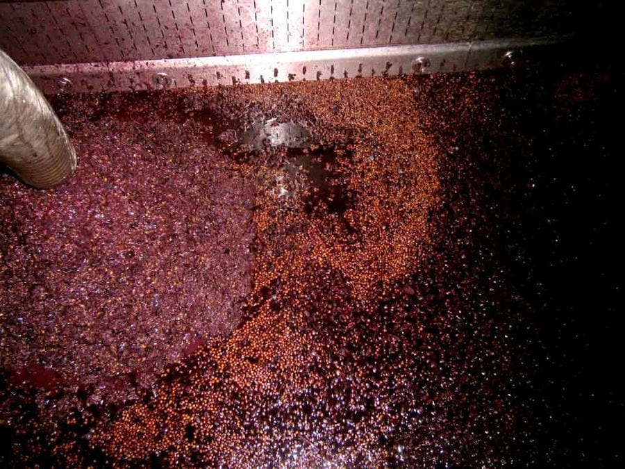 must 'pulp' of black grapes together with the grape skins into press machine at Nikolou Winery plant