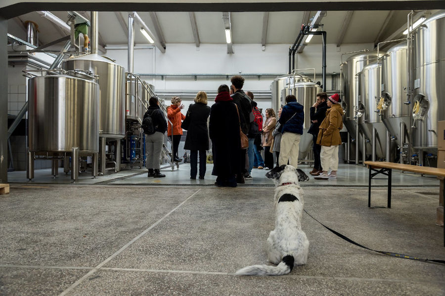 tourists and a dog listening to a man giving a tour at Noctua Brewery plant