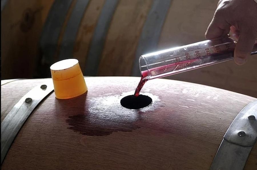 oenolog pouring wine from mea suring cylinder into wood barrel at Domaine Dereskos winery