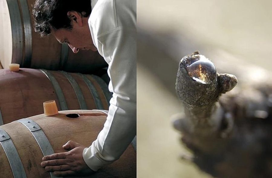 oenologist controlling the quality of the wine from the barrels at Domaine Dereskos' cellar