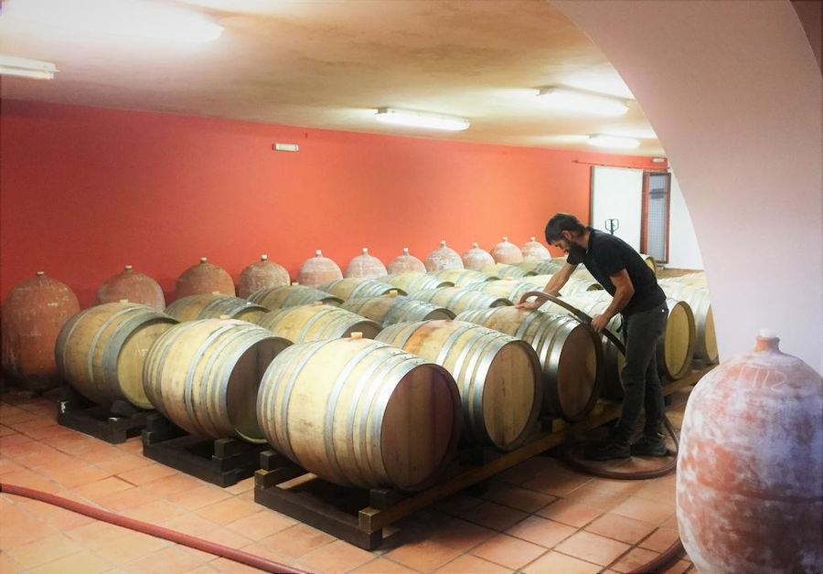 oenologist tasting the wine from wood barrels at Rouvalis Winery cellar