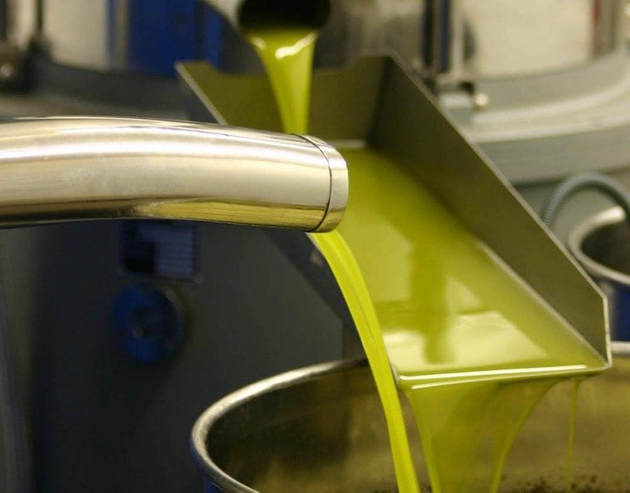 close-up of olive oil flowed from olive oil press machine at Socrates Olive Oil plant