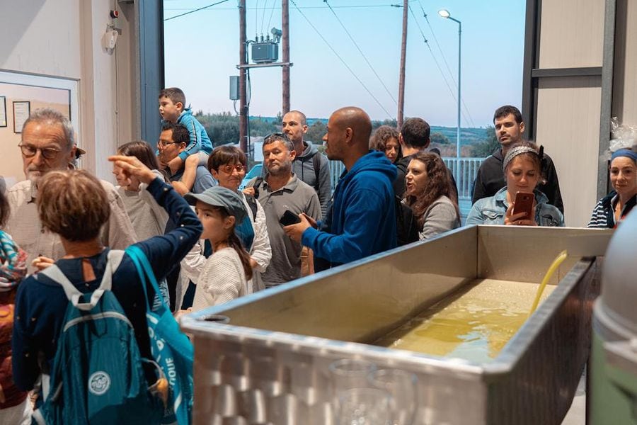 tourists watching olive oil flowed from press machine at Politakis Olive Oil Mill premises