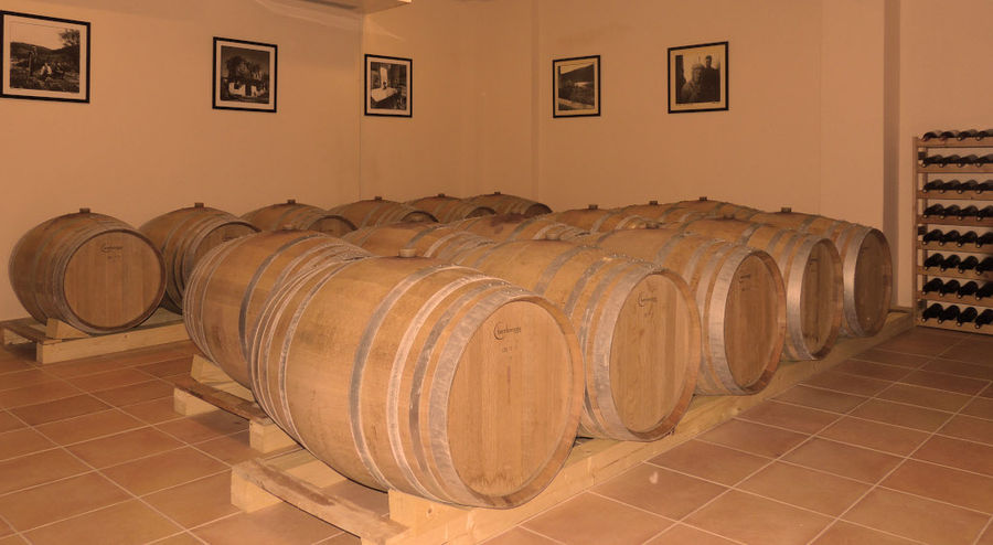 wine barrels on wood panels at Olympia Land Estate cellar