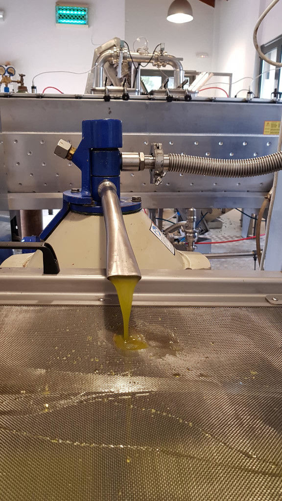 close-up of olive oil flowed from olive oil press machine at 'Pamako' plant