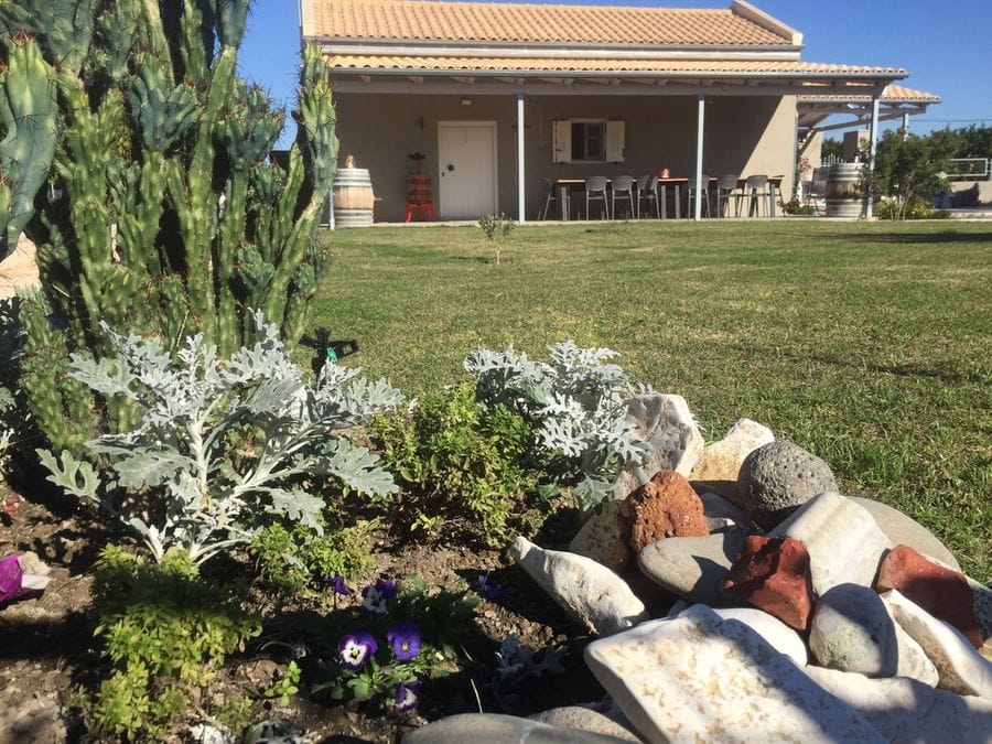 close-up of green plants, pansies, cactus and rocks in the background of green grass and Jima winery building