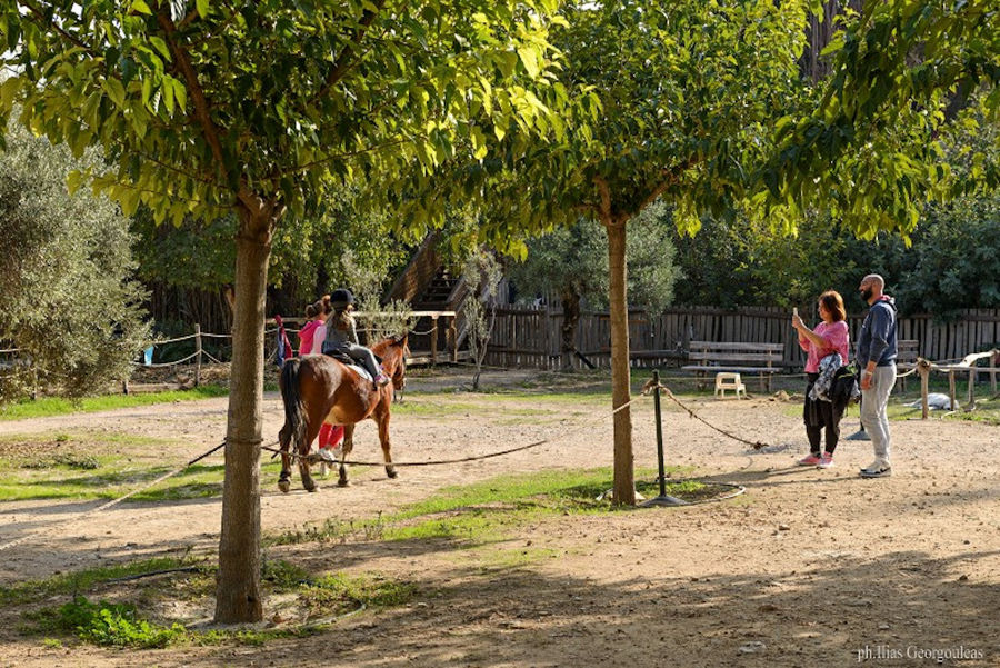 a child riding a brown horse and her parents take photo with camera Pyrgos Vasilissis winery outside