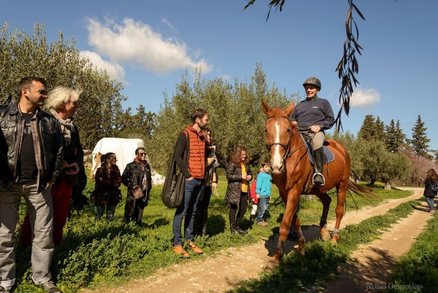tourists welcome a jockey with his brown horse at Pyrgos Vasilissis winery area