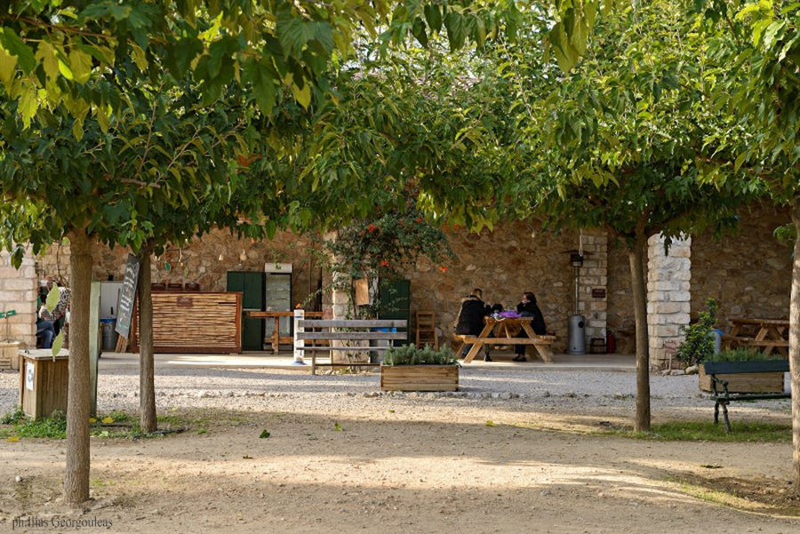 two tourists sitting at the table with benches in the Pyrgos Vasilissis winery garden