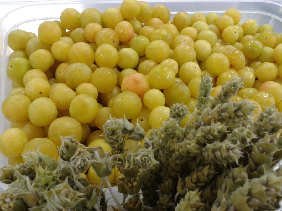 dry bushes of Sideritis tea and grapes from 'Rizes Greek Delicatessen'