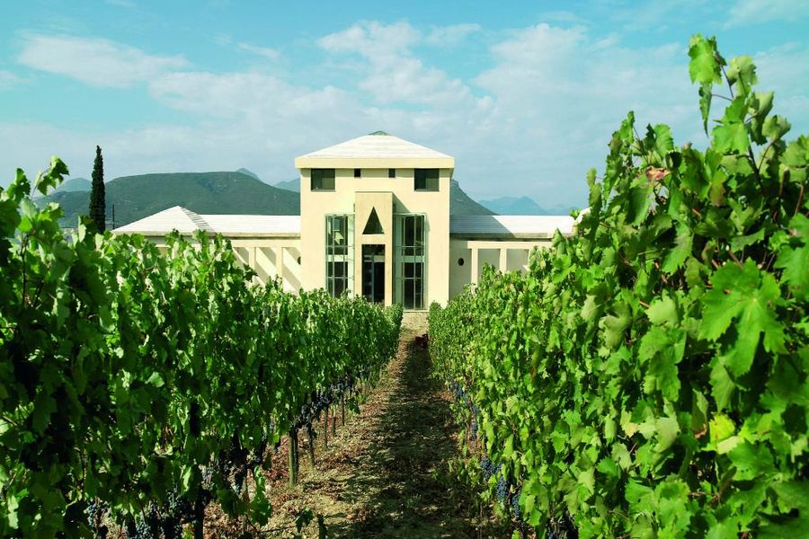 rows of vines in front of Nemeion Estate building