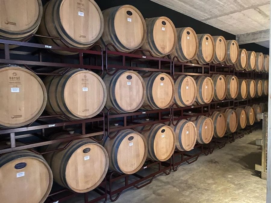 rows of wine wood barrels in cellar