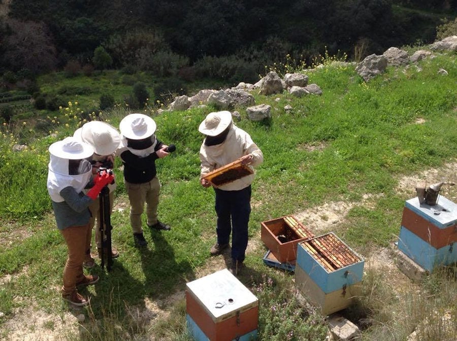 beekeeper holding honeycomb panel and three tourists taking photos with the camera in nature at 'Si-Mel Honey Toplou'