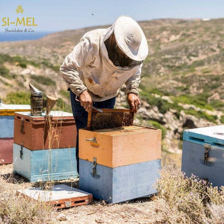 beekeeper placing honeycomb panel in beehive in nature at 'Si-Mel Honey Toplou'