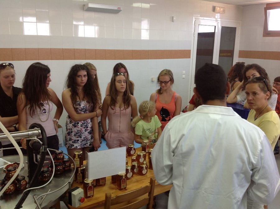 a group of young tourists listening to a man giving a tour at 'Si-Mel Honey Toplou' plant