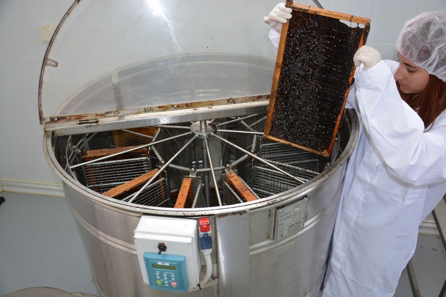 woman placing honey comb panel in honey collector machine at 'Si-Mel Honey Toplou' plant