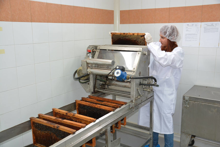 woman placing honey comb panel in honey collector machine at 'Si-Mel Honey Toplou' plant
