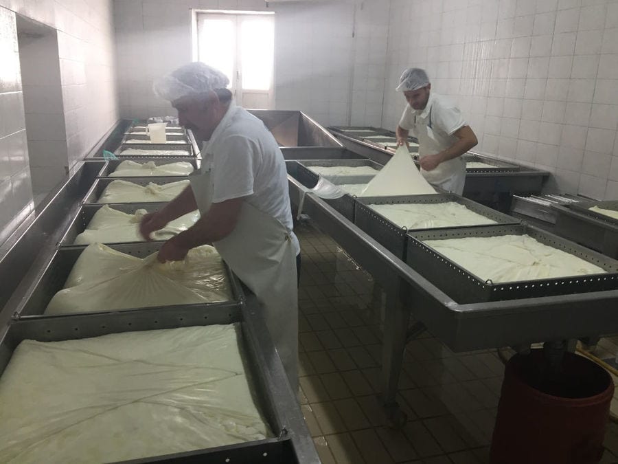two men working at tanks for cheese stewing at Siafarikas Dairy plant