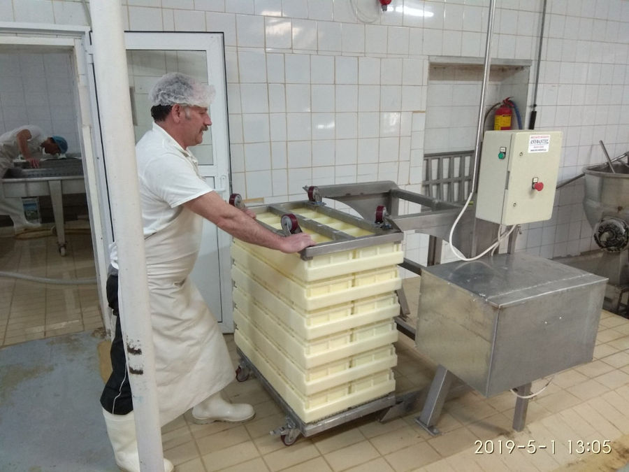 man pushing a trolley for cheese holder and dairy products storage at Siafarikas Dairy plant