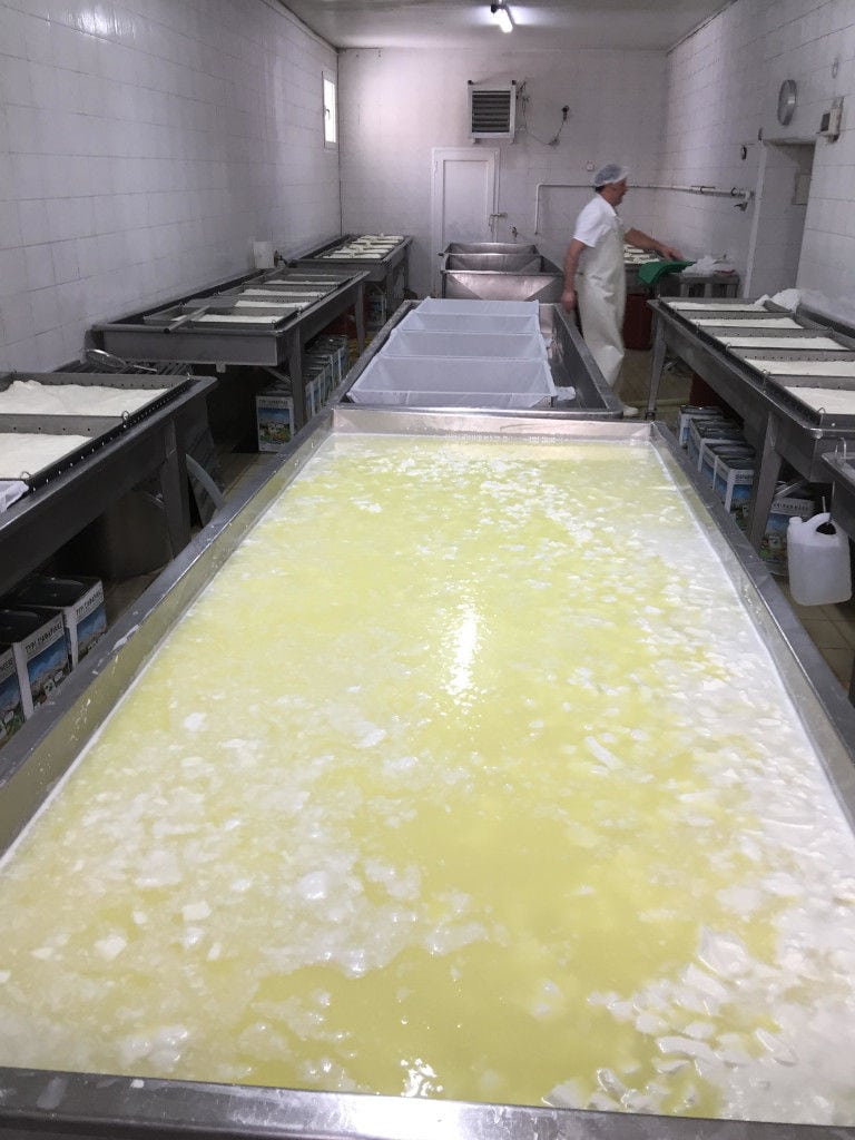 man working at tanks for cheese stewing at Siafarikas Dairy plant