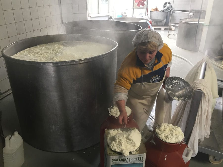 woman filled a tin with cheese from plastic dairy barrels at Siafarikas Dairy plant