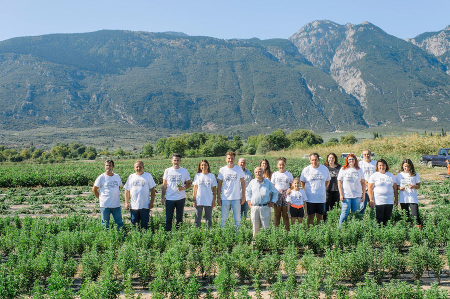 a group of tourists in 'Stevia Hellas COOP' stevia crops and smiling at the camera
