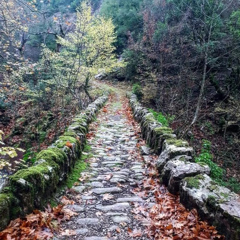 stone path in the mountains with trees on either side at Gralista Farm area